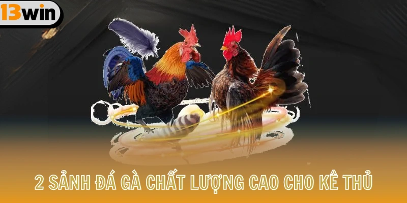 Giới Thiệu 3 2 sảnh Đá Gà chất lượng cao cho kê thủ