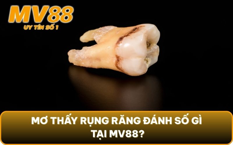 Mơ Thấy Rụng Răng - 3 Thông Điệp Tiềm Thức Muốn Gửi Đến Bạn 5 Mơ thấy rụng răng đánh số gì tại MV88?