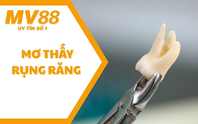 Mơ Thấy Rụng Răng - 3 Thông Điệp Tiềm Thức Muốn Gửi Đến Bạn 1 Mơ Thấy Rụng Răng - 3 Thông Điệp Tiềm Thức Muốn Gửi Đến Bạn