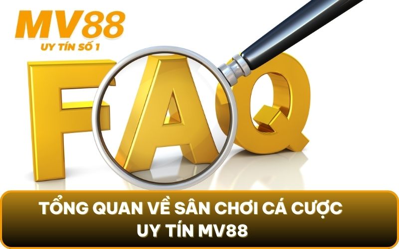 FAQ Thường Gặp 1 Tổng quan về sân chơi cá cược uy tín MV88