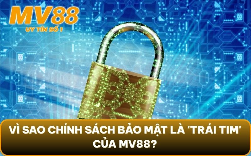 Chính Sách Bảo Mật 3 Vì sao chính sách bảo mật là 'trái tim' của MV88?