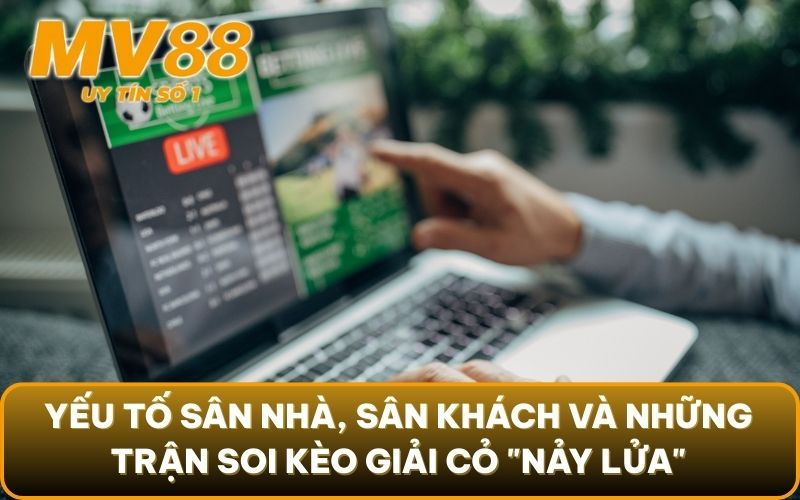 Soi Kèo Giải Cỏ: Bí Kíp "Săn" Kèo Thơm Từ Dân Chơi Lão Làng 5 Yếu tố sân nhà, sân khách và những trận soi kèo giải cỏ "nảy lửa"